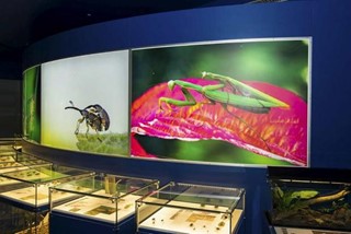 DE CARVALHO CLEMENCE EXPOSER LE VIVANT IMG5