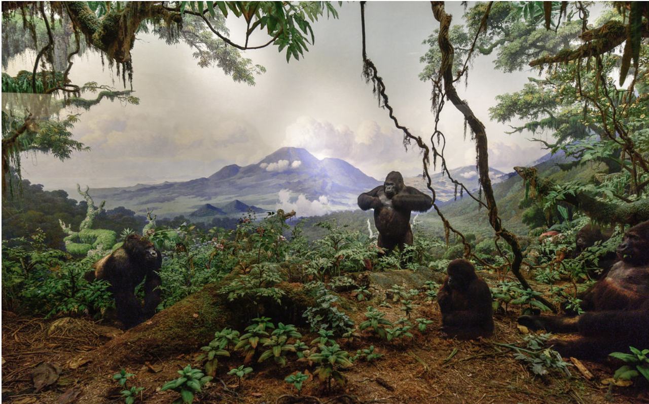 DE CARVALHO CLEMENCE LA VRAI FAUSSE NATURE DES DIORAMAS IMG2