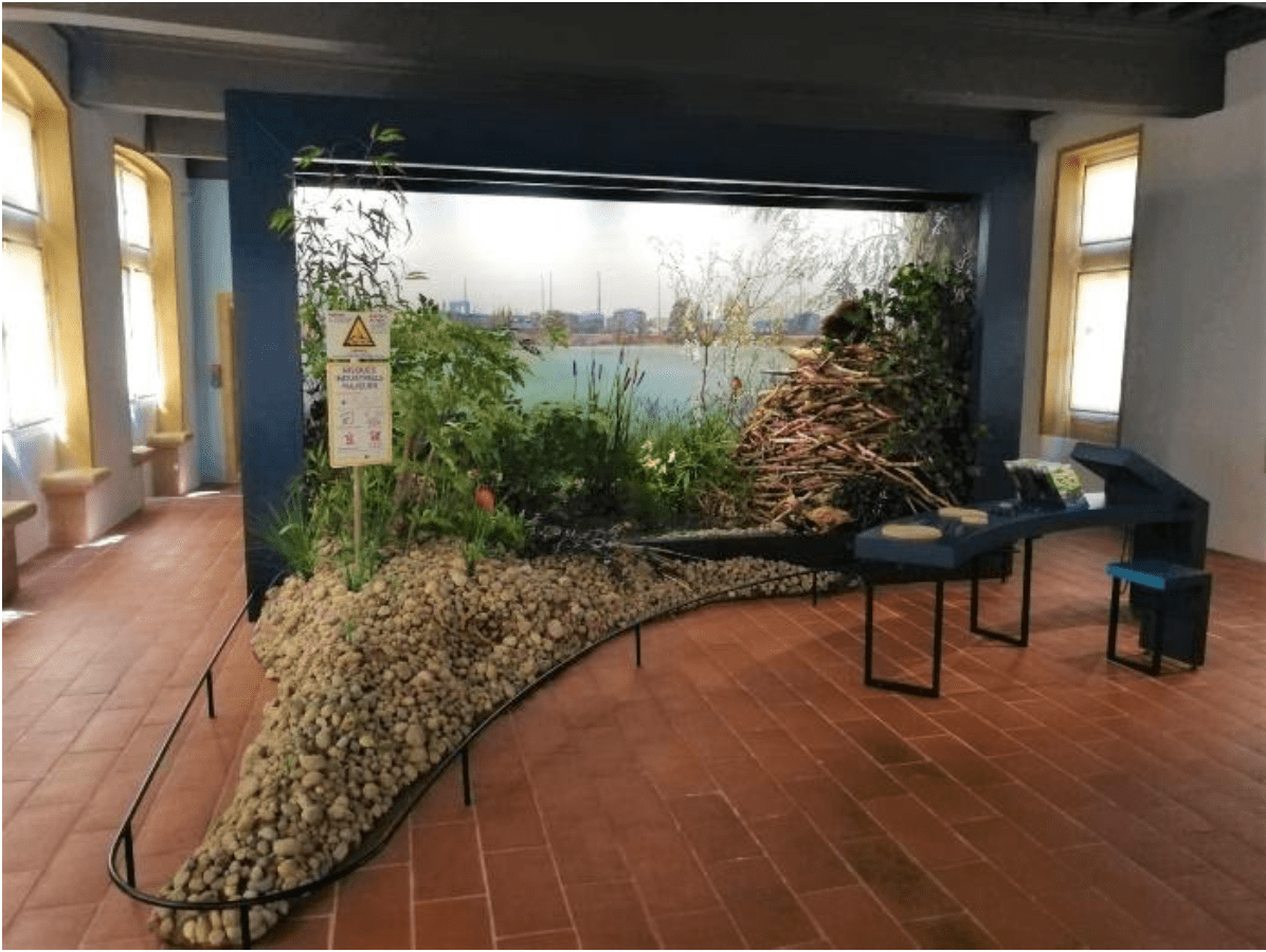 DE CARVALHO CLEMENCE LA VRAI FAUSSE NATURE DES DIORAMAS IMG7 min