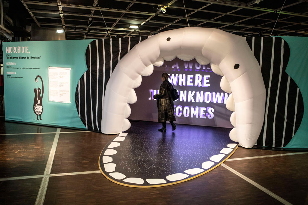 FROMAGER CAMILLE MICROBIOTE MON AMOUR IMG2