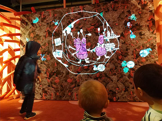 FROMAGER CAMILLE MICROBIOTE MON AMOUR IMG3