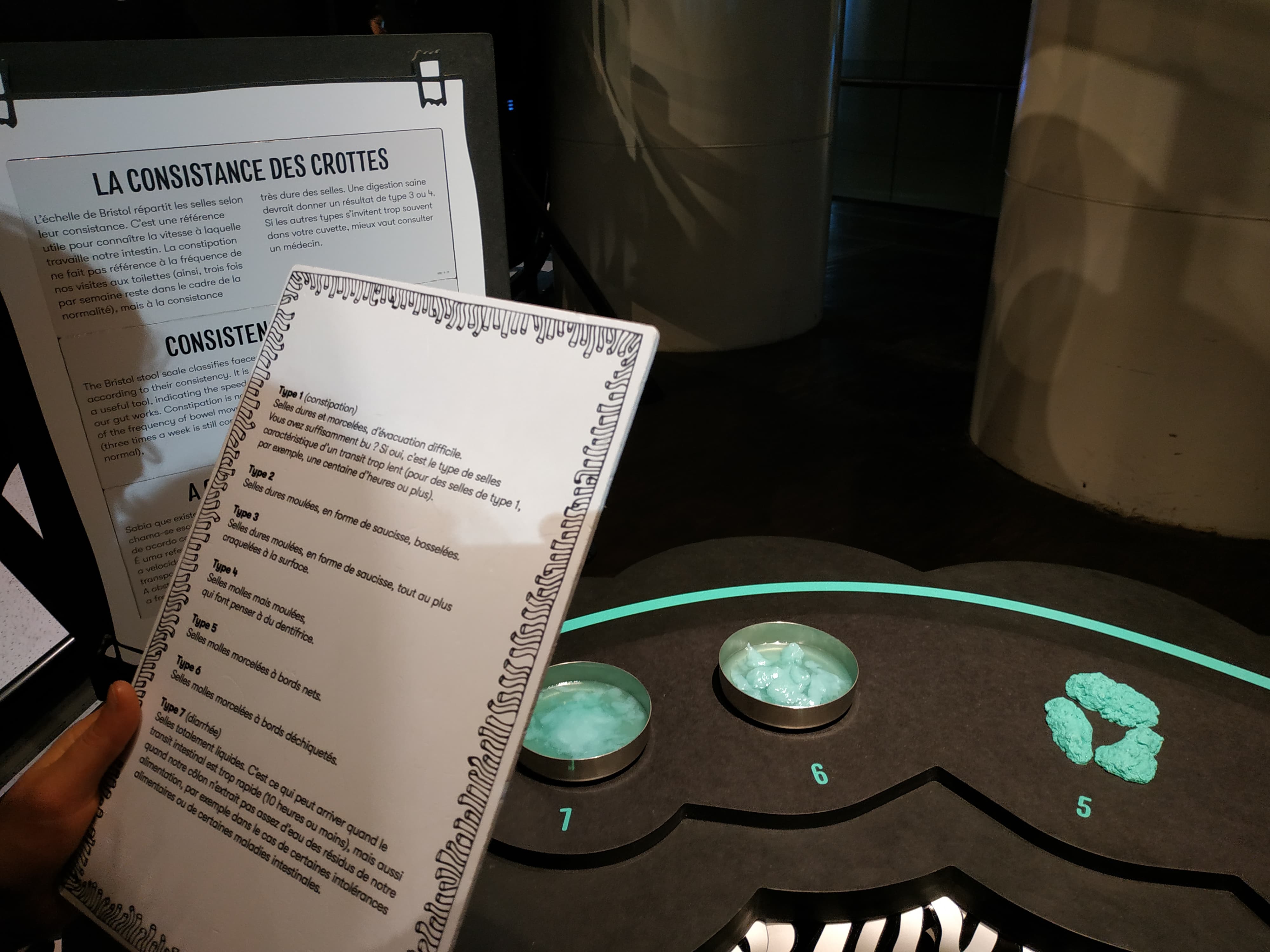 FROMAGER CAMILLE MICROBIOTE MON AMOUR IMG5