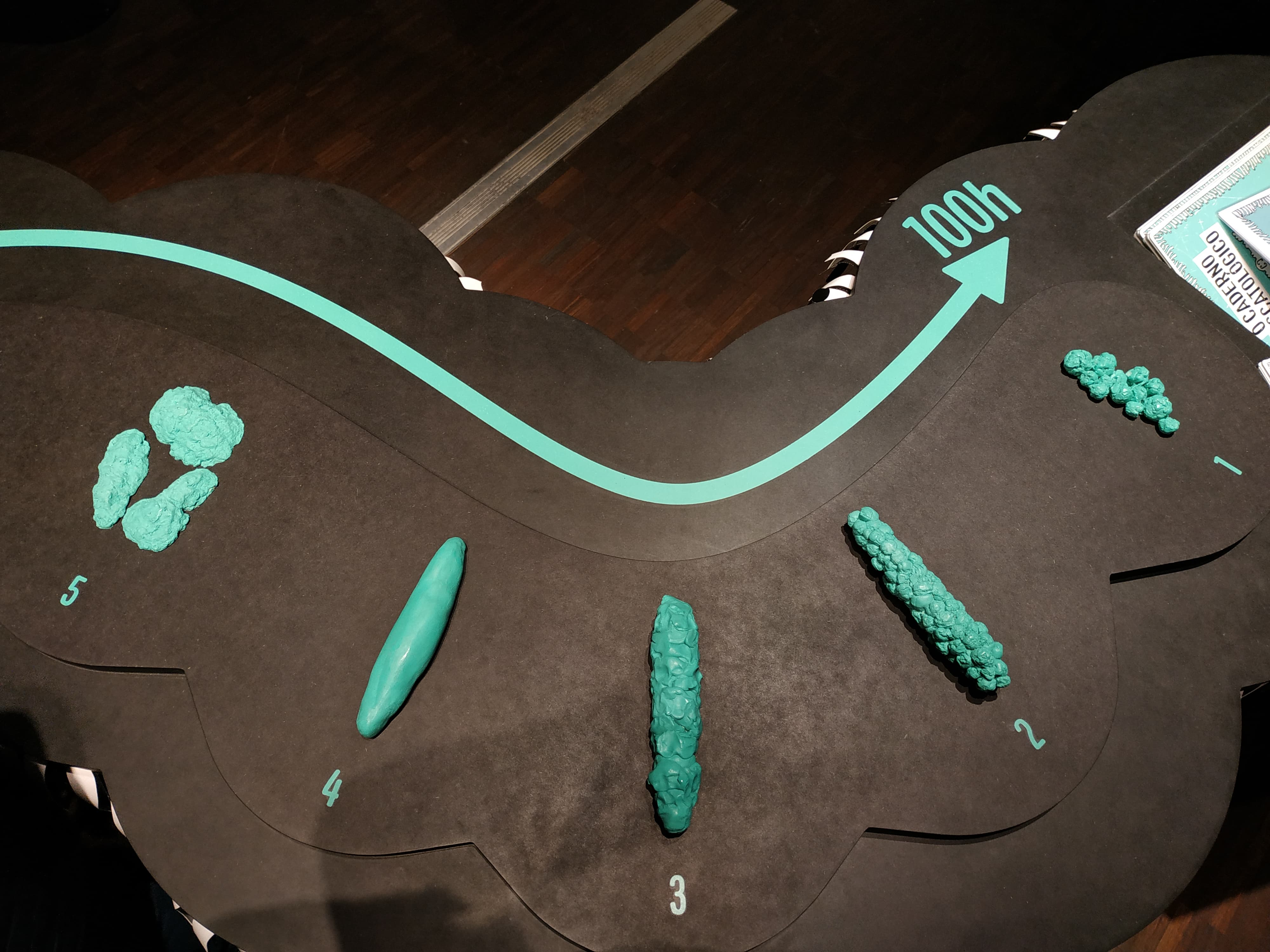 FROMAGER CAMILLE MICROBIOTE MON AMOUR IMG6