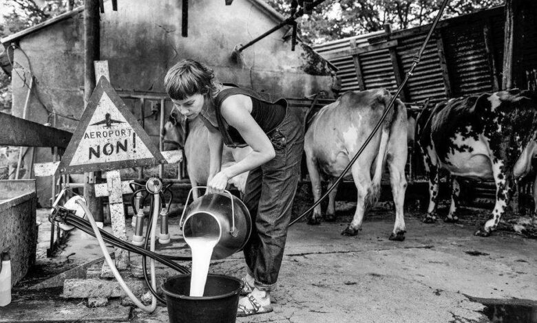 GARCIA LOPEZ LUCILE NOTRE DAME DES LANDES IMG3