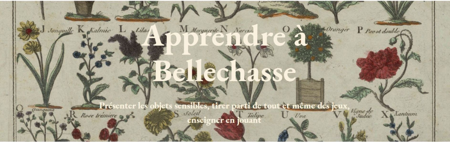 GARCIN JADE GENLIS IMG3