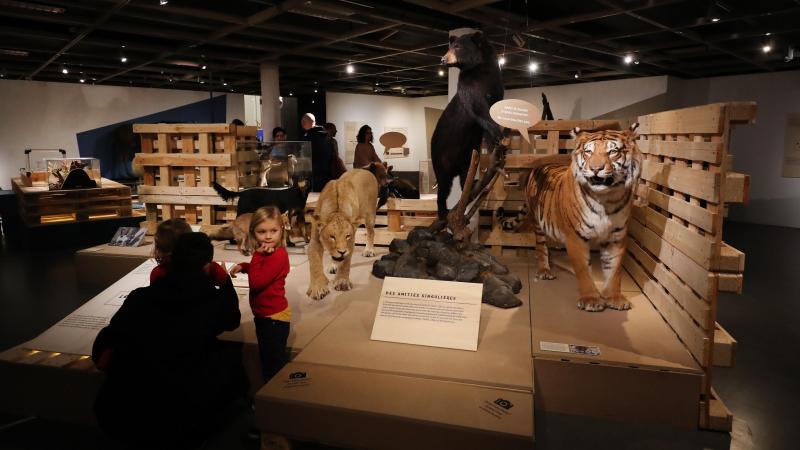 Image 3 la voix du nord