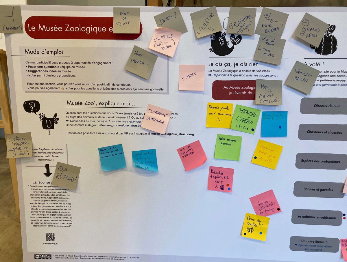 KLEIN 2025 muséeZoologique IMG3