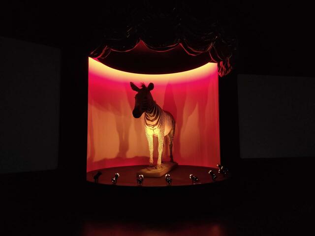 LABOUREAU 2023 EMBALLE MOI IMG5