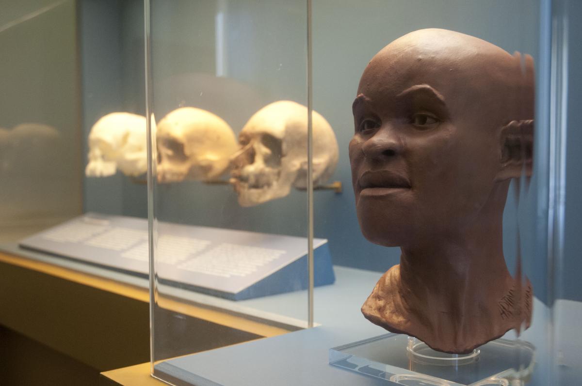 LARROUDE EMELINE MUSEU NACIONAL VIVE IMG7