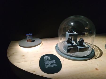 LOUET MARGAUX LEMUSEEDELHOMMEEXPLORELALIMENTATION IMG1