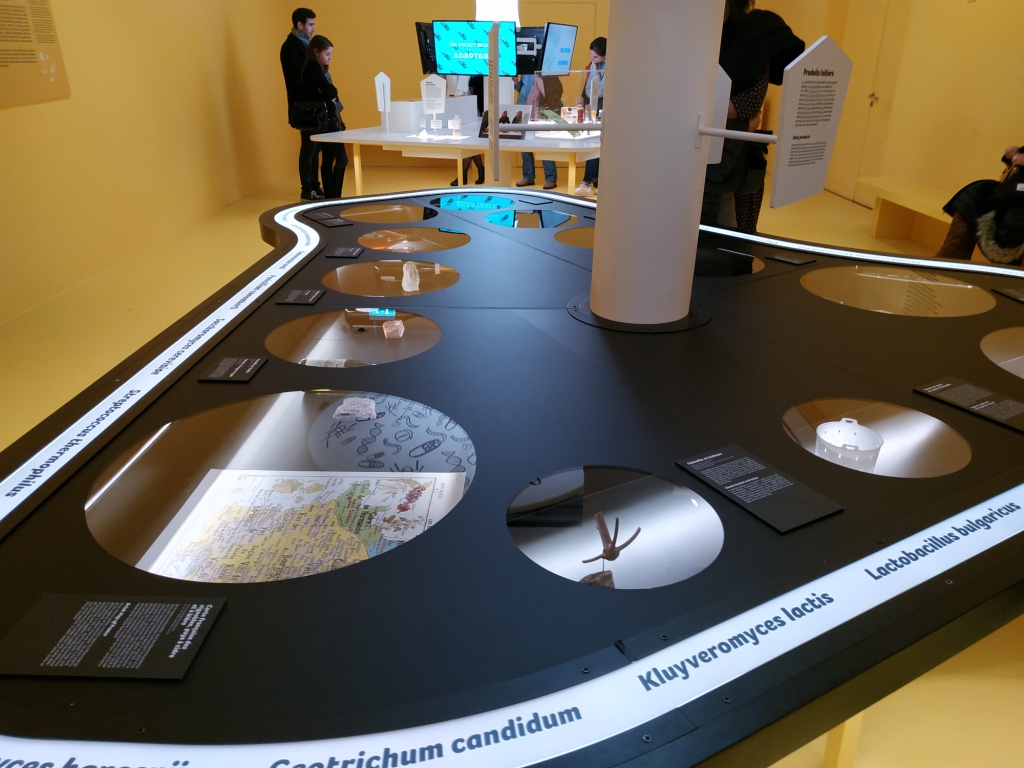 LOUET MARGAUX LEMUSEEDELHOMMEEXPLORELALIMENTATION IMG8