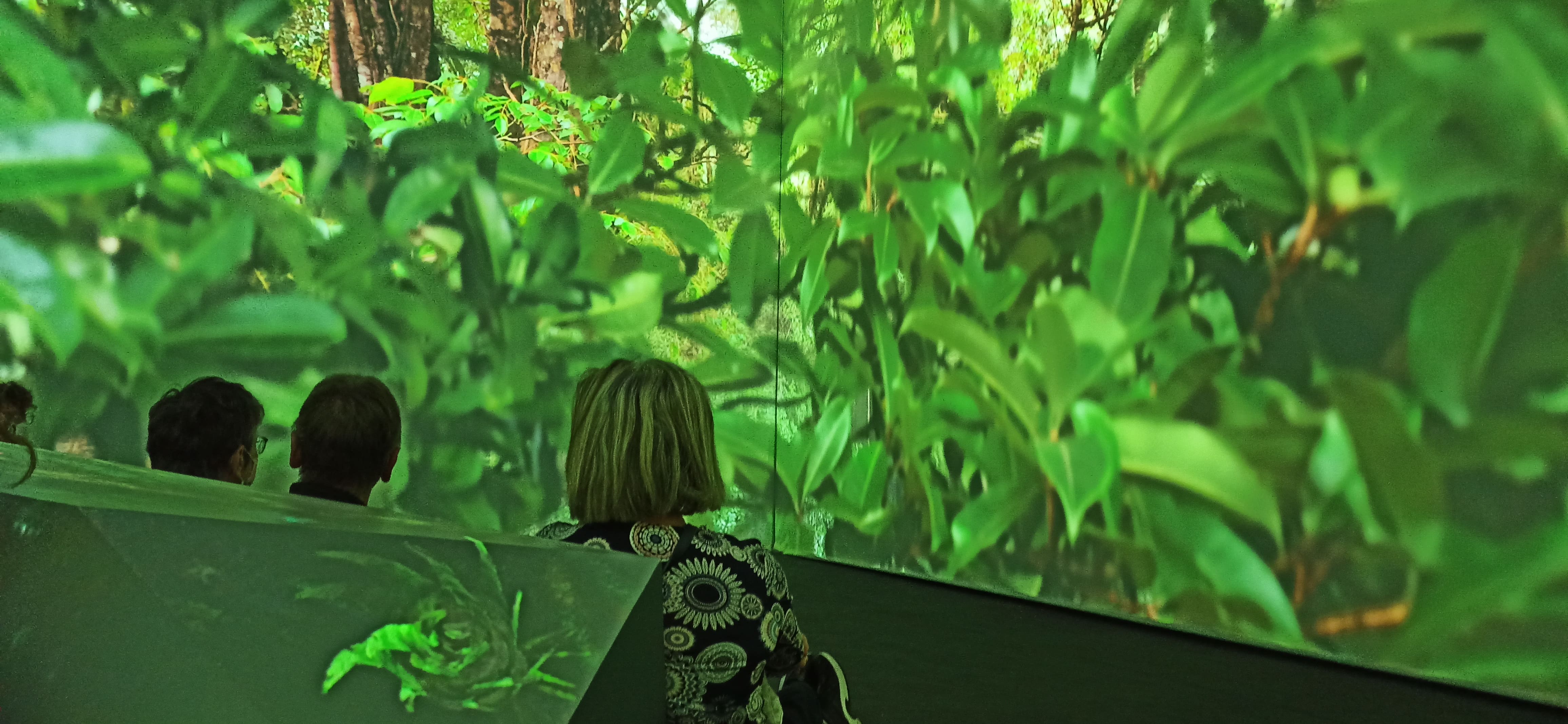 MAINE 2022 Les muséums dhistoire naturelle une prise de conscience écologique IMG1