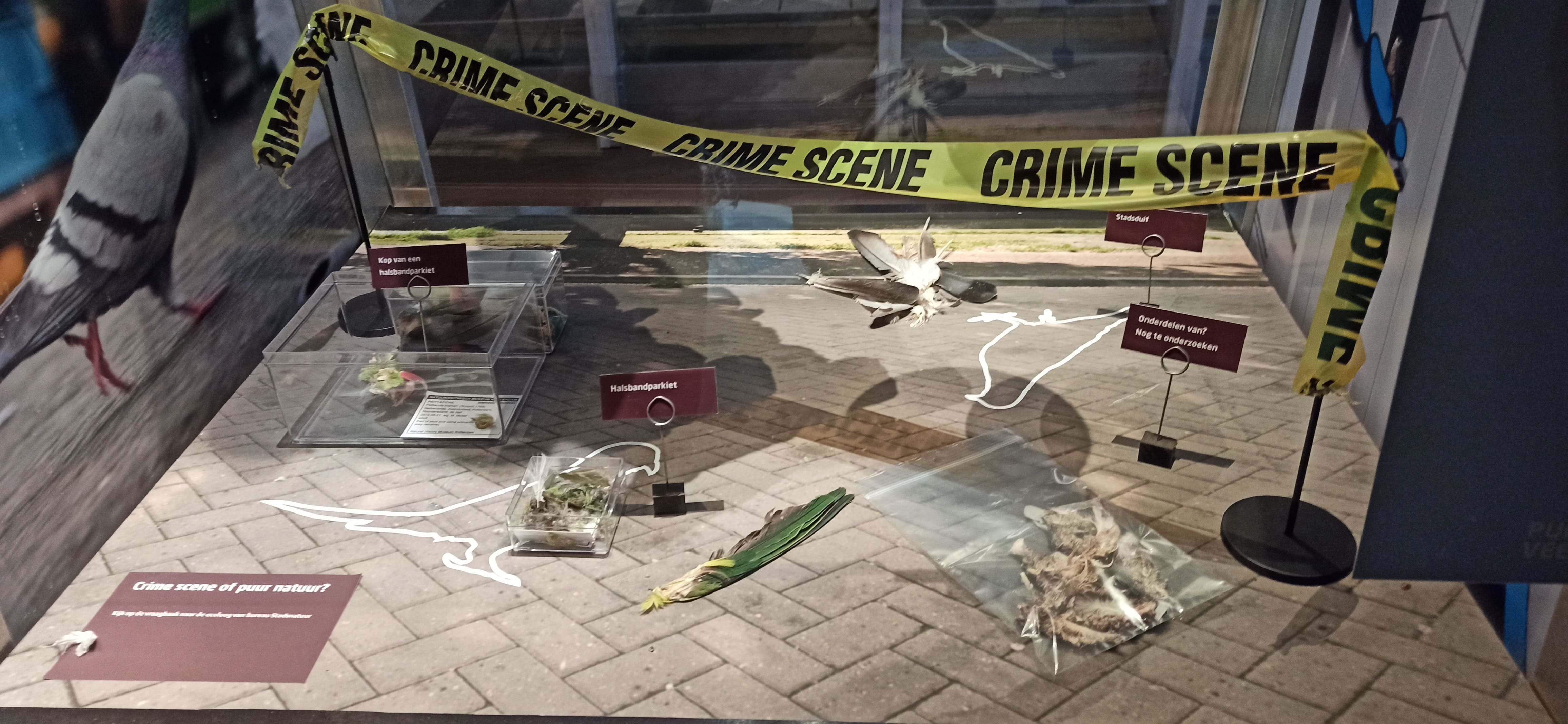 MAINE 2022 Les muséums dhistoire naturelle une prise de conscience écologique IMG4