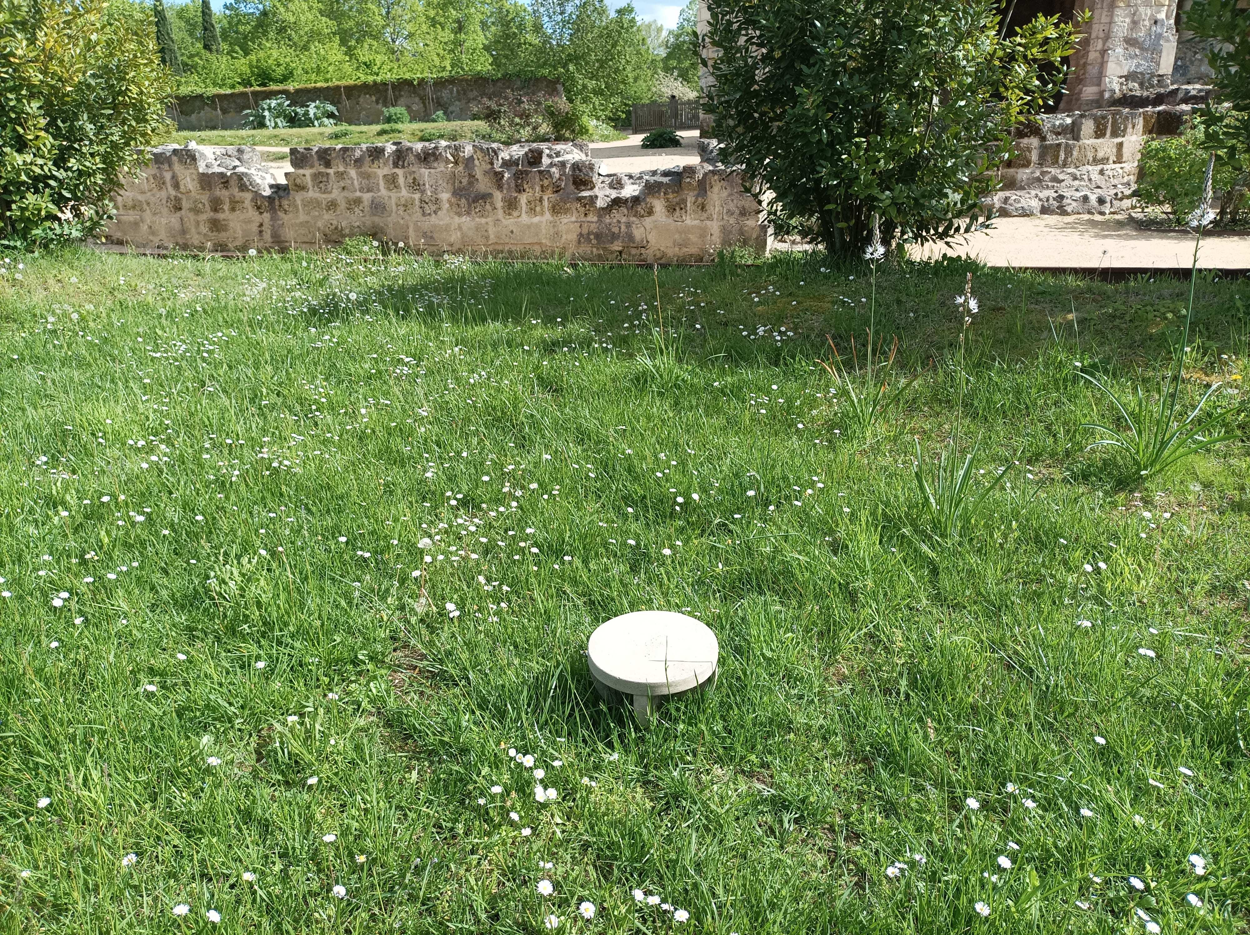 NEVEU 23 deambuler IMG5