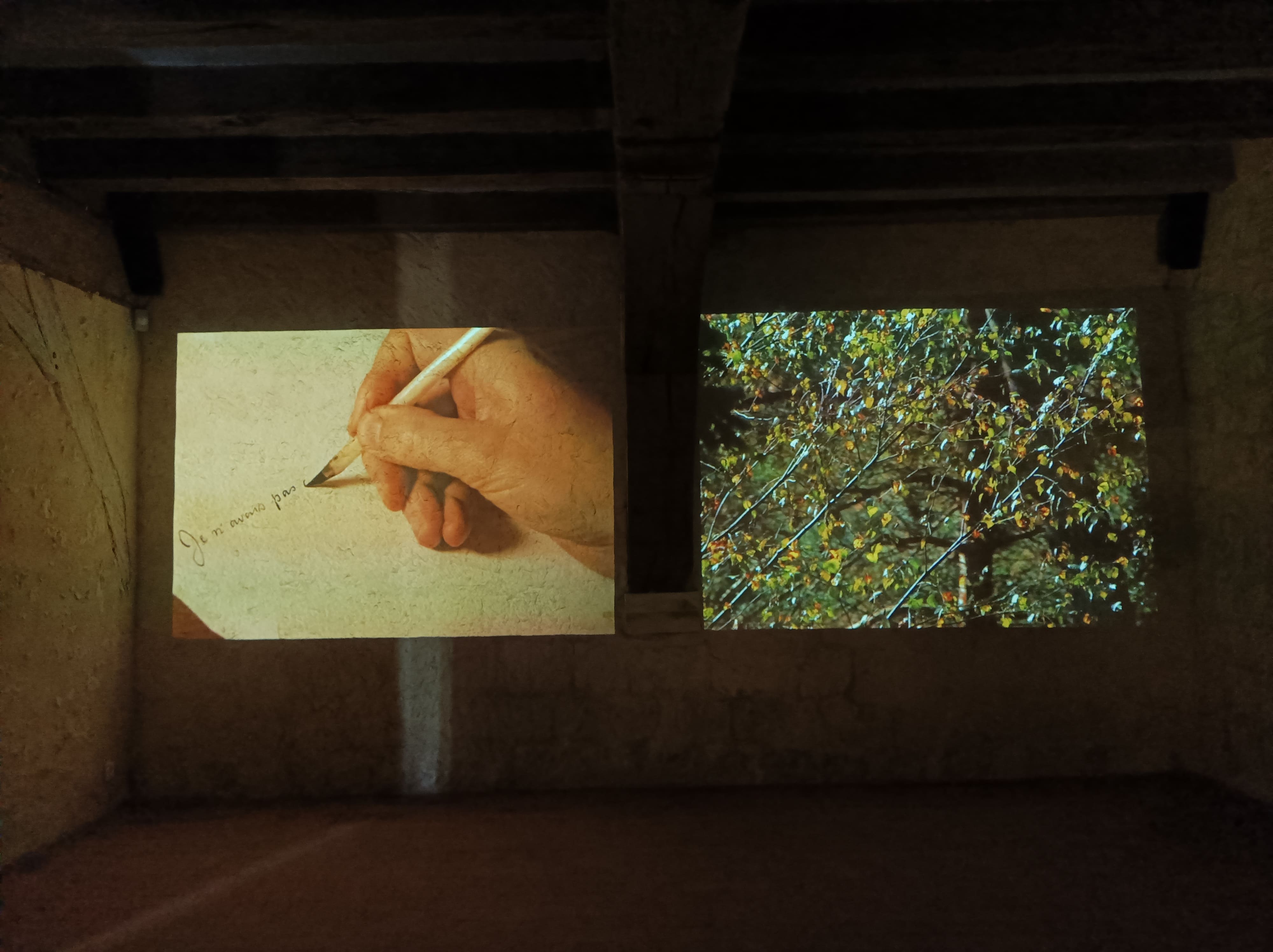 NEVEU 23 deambuler IMG7