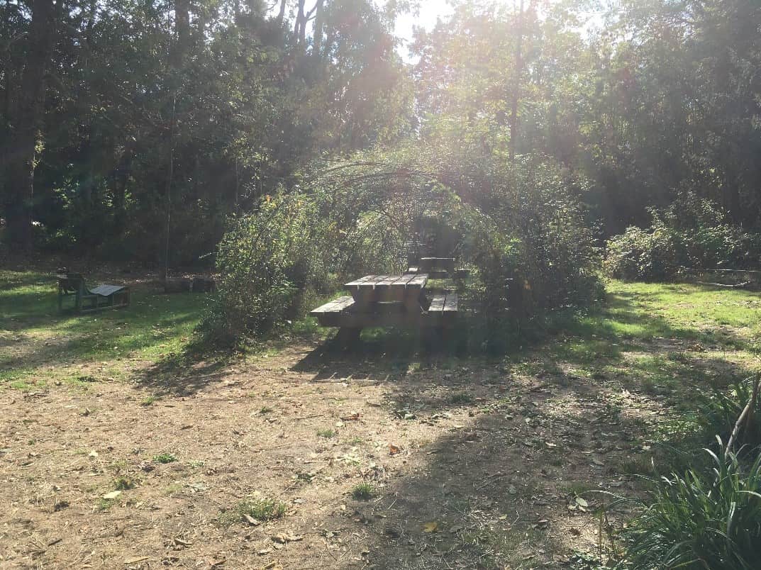 ROUDAUT CAMILLE LA FONDATION GOODPLANET IMG4