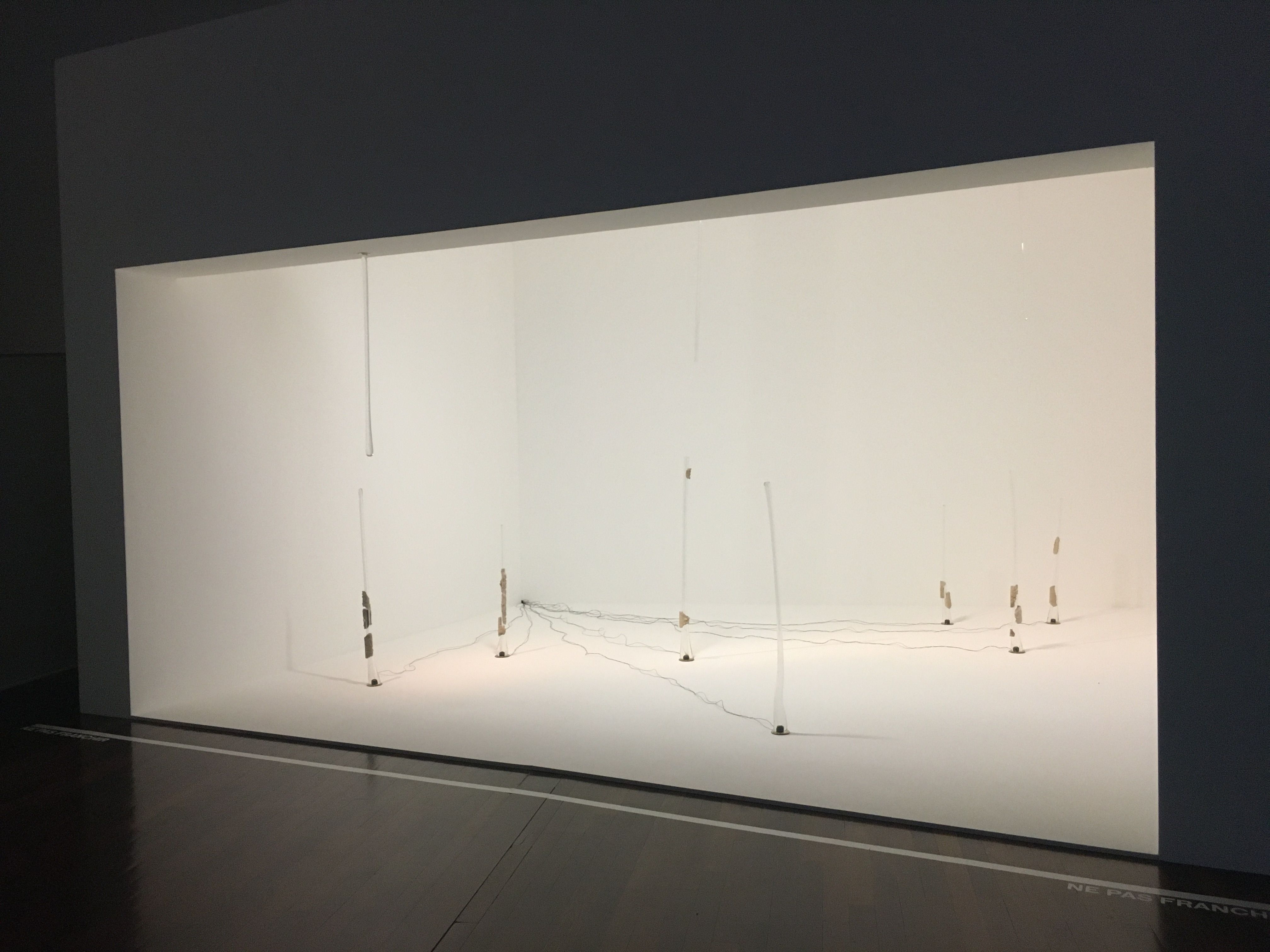 ROY MARION LEVENTSELEVE IMG4