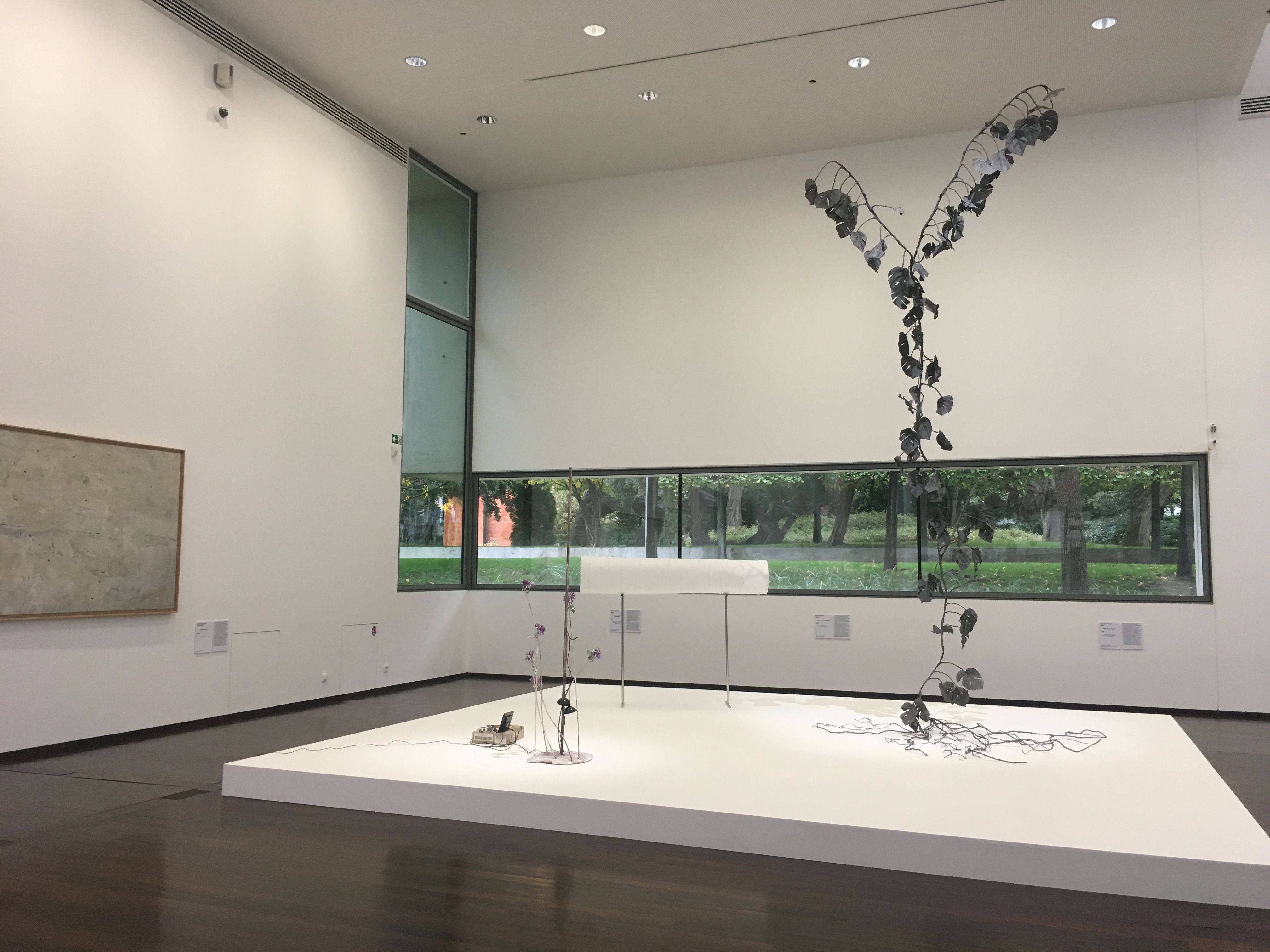 ROY MARION LEVENTSELEVE IMG6