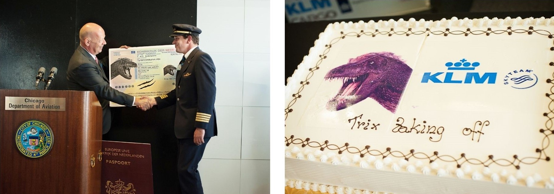 Reuge Marianne T.rex in Town IMG 3