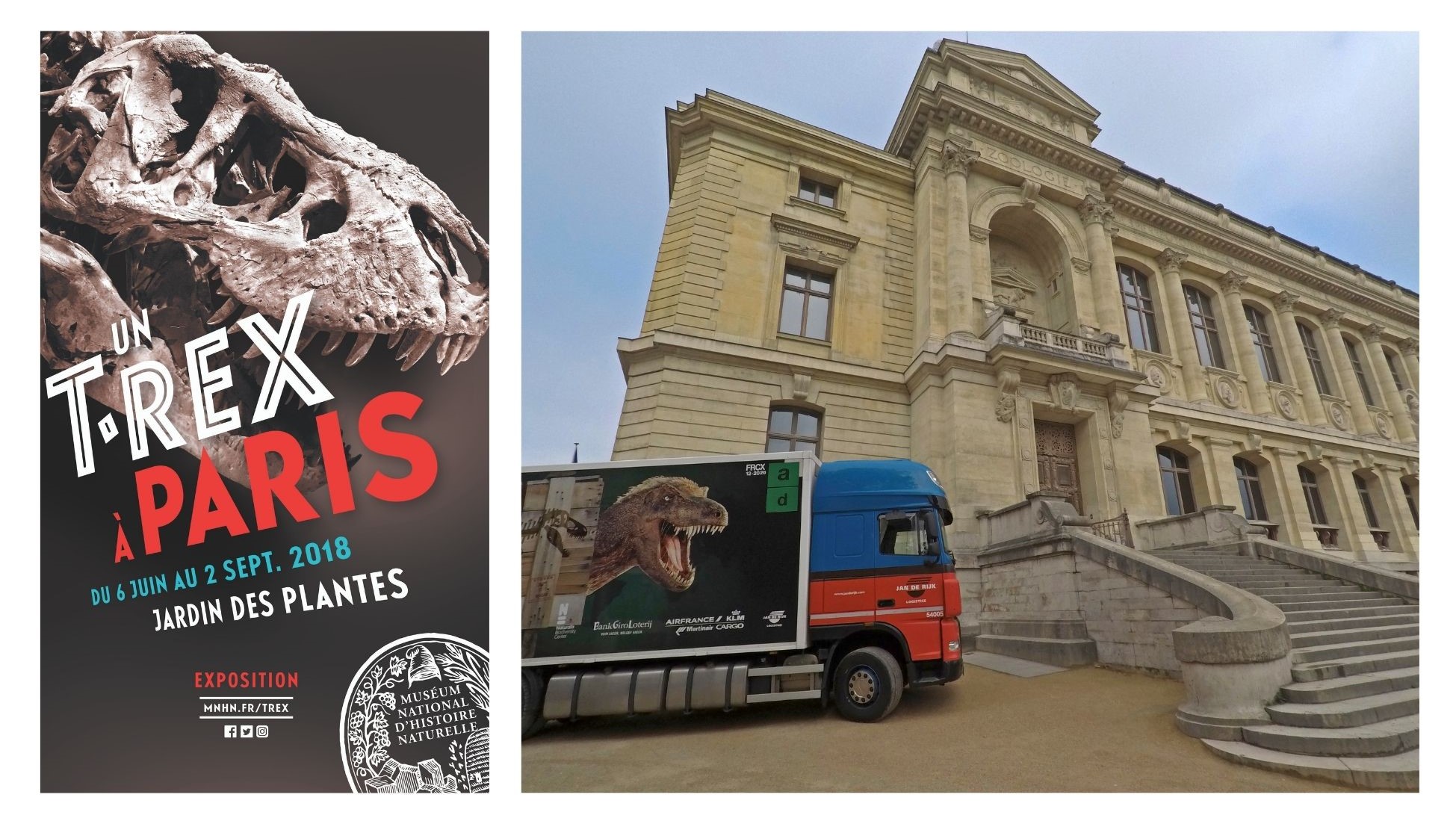 Reuge Marianne T.rex in Town IMG 5