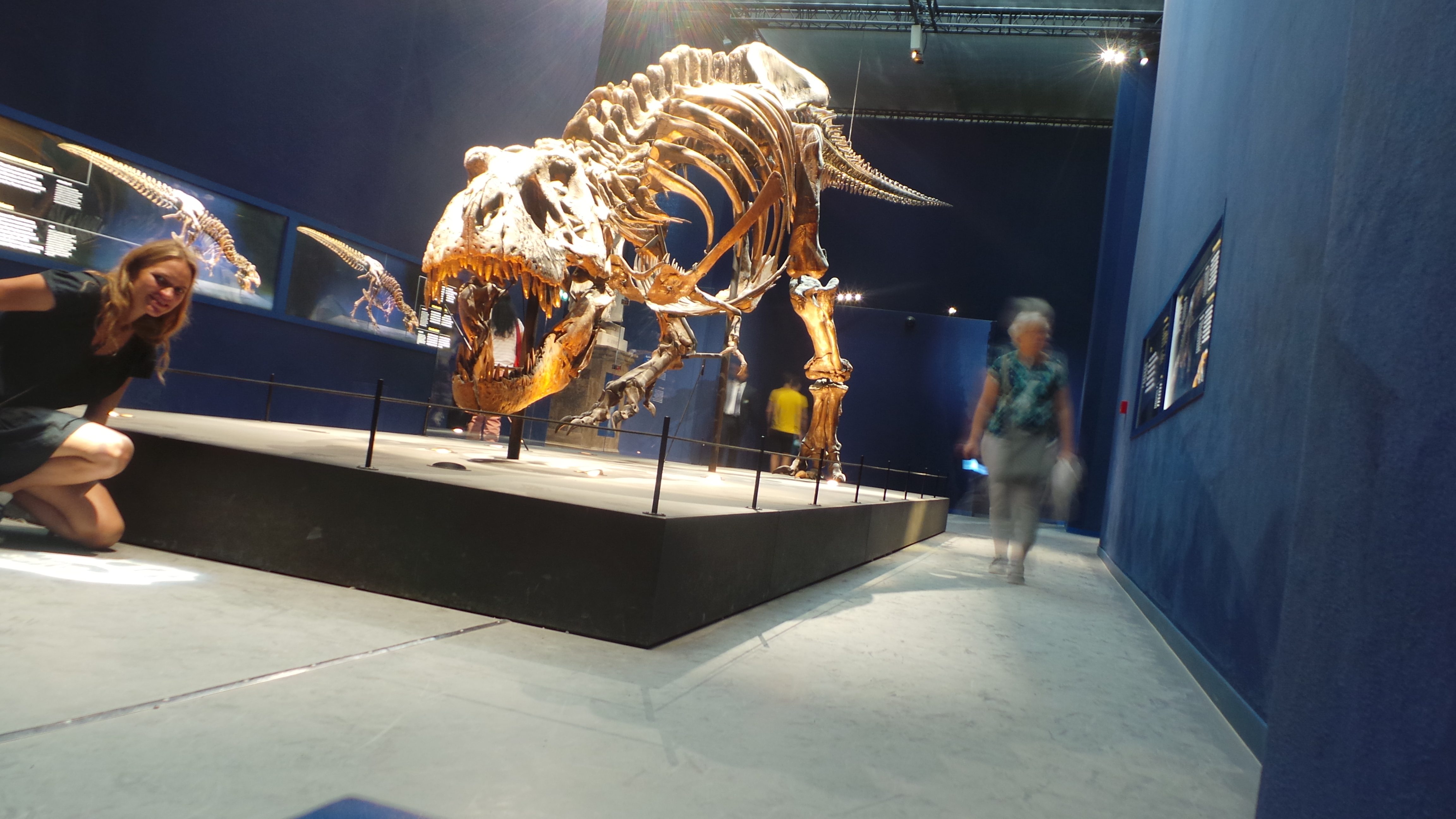 Reuge Marianne T.rex in Town IMG 7