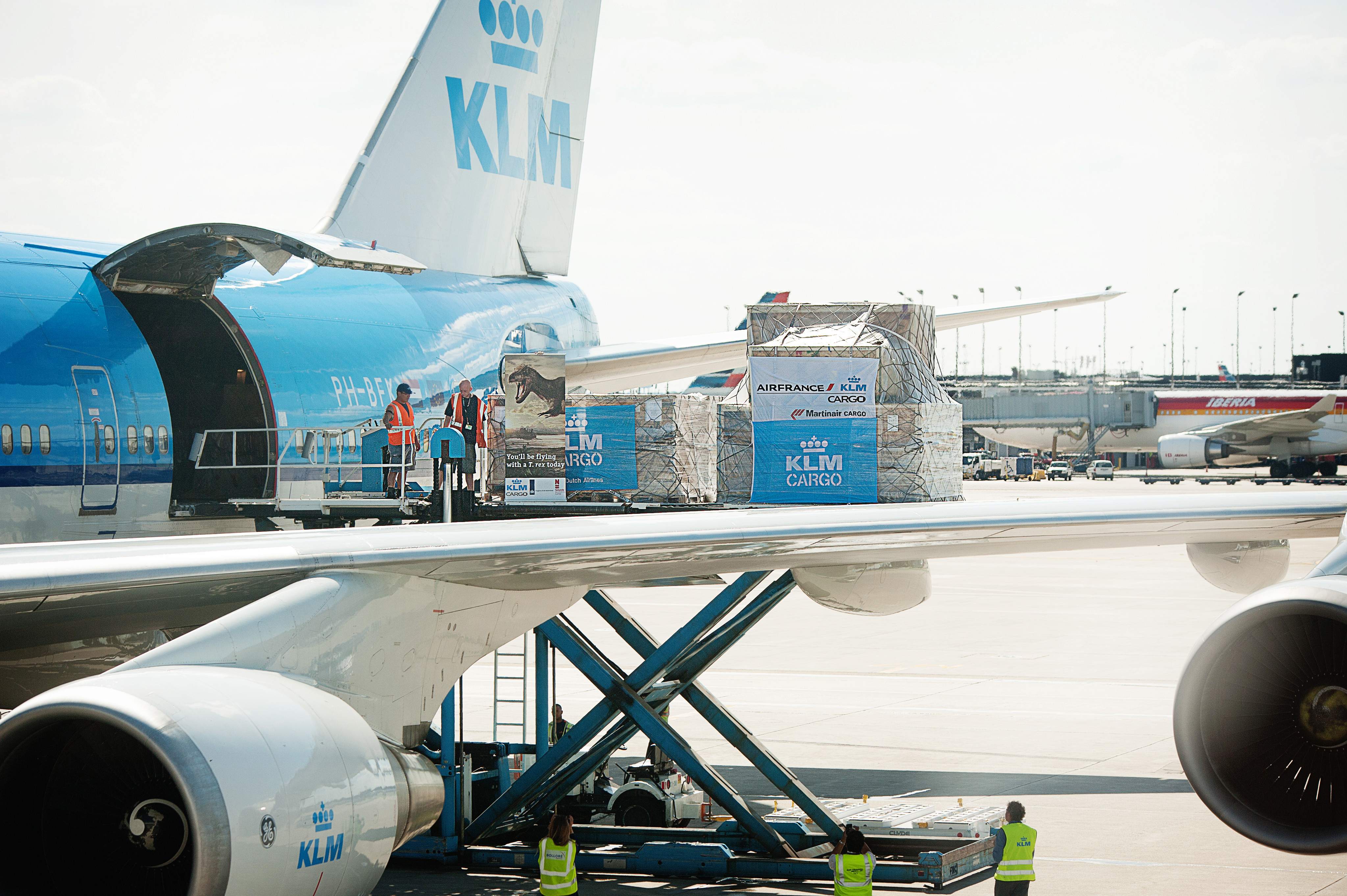 Reuge Marianne T.rex in town IMG 4