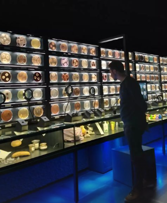 SCHRIVER 2024 MondesMicroscopiques IMG3