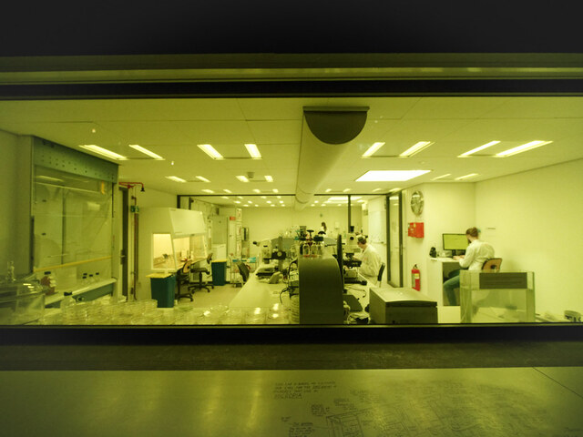 SCHRIVER 2024 MondesMicroscopiques IMG4