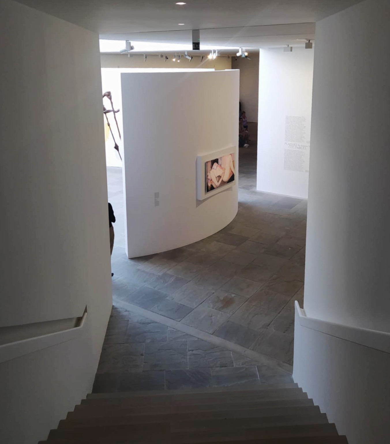 SCHRIVER 2024 Pied il IMG5