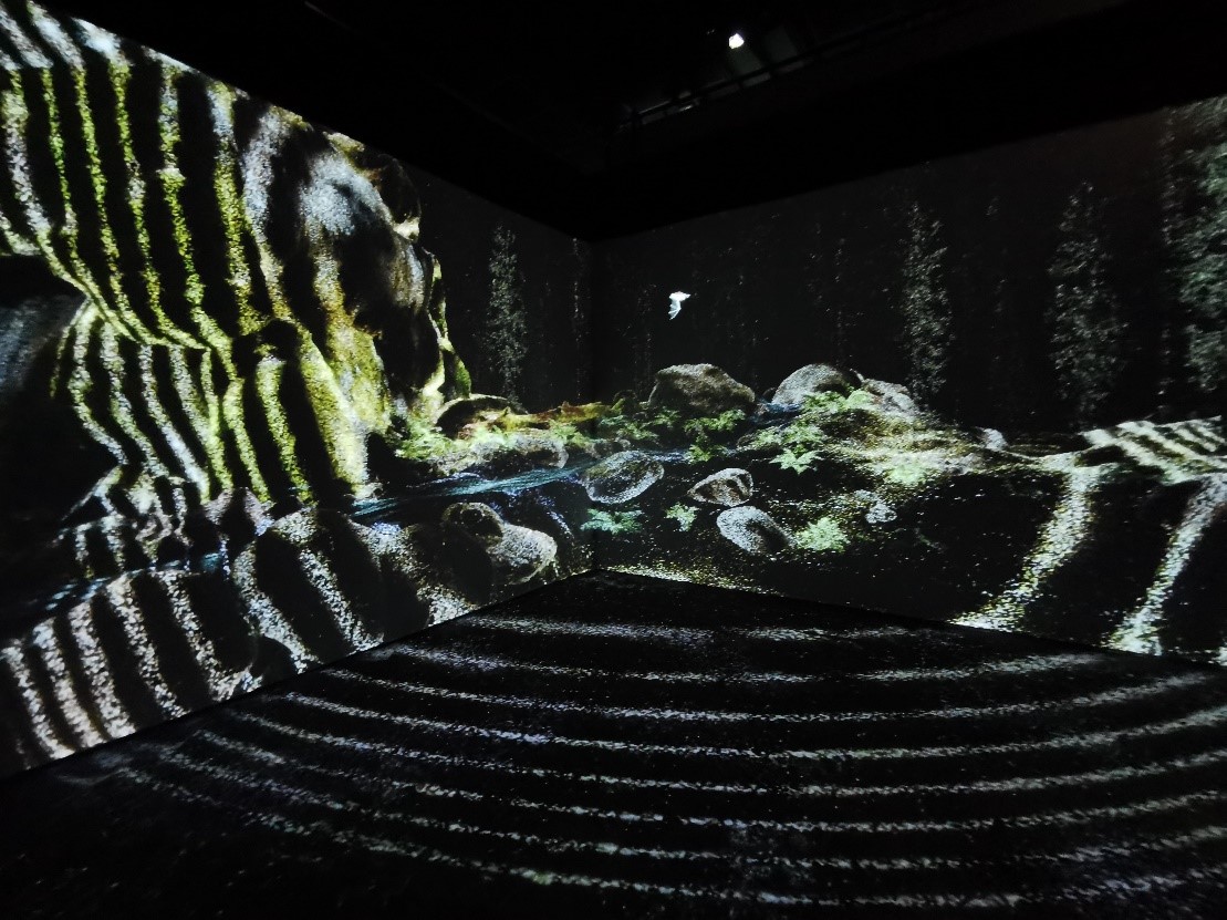 SONVEAU 2021 Odyssée IMG2