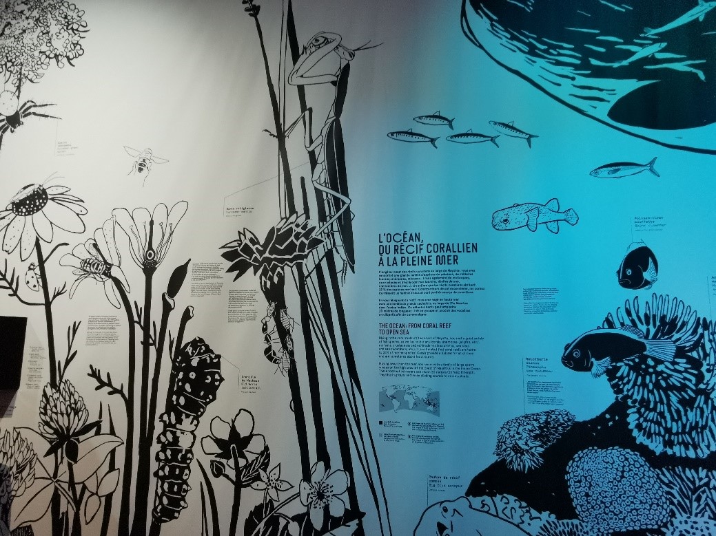 SONVEAU 2021 Odyssée IMG5