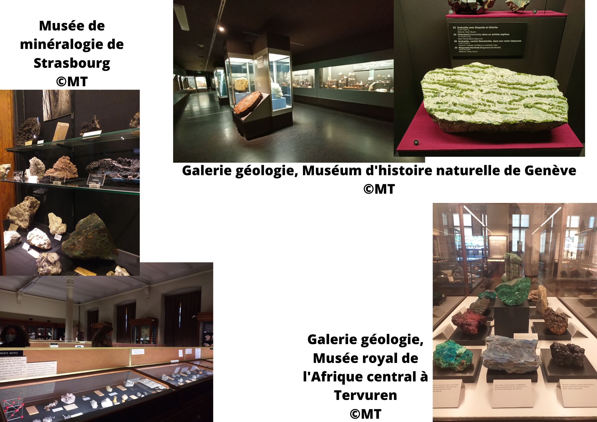 TERRIERE 05.2023 caillou img1