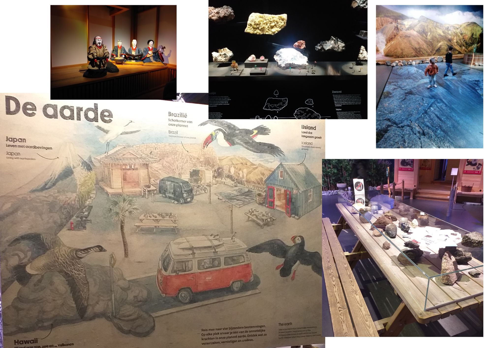 TERRIERE 05.2023 caillou img2