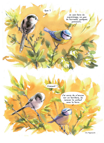 TERRIERE 11.06.22 Tout contre la Terre IMG6