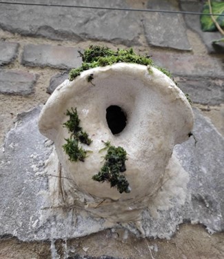 TERRIERE 11.2023 Scientifiquement IMG1