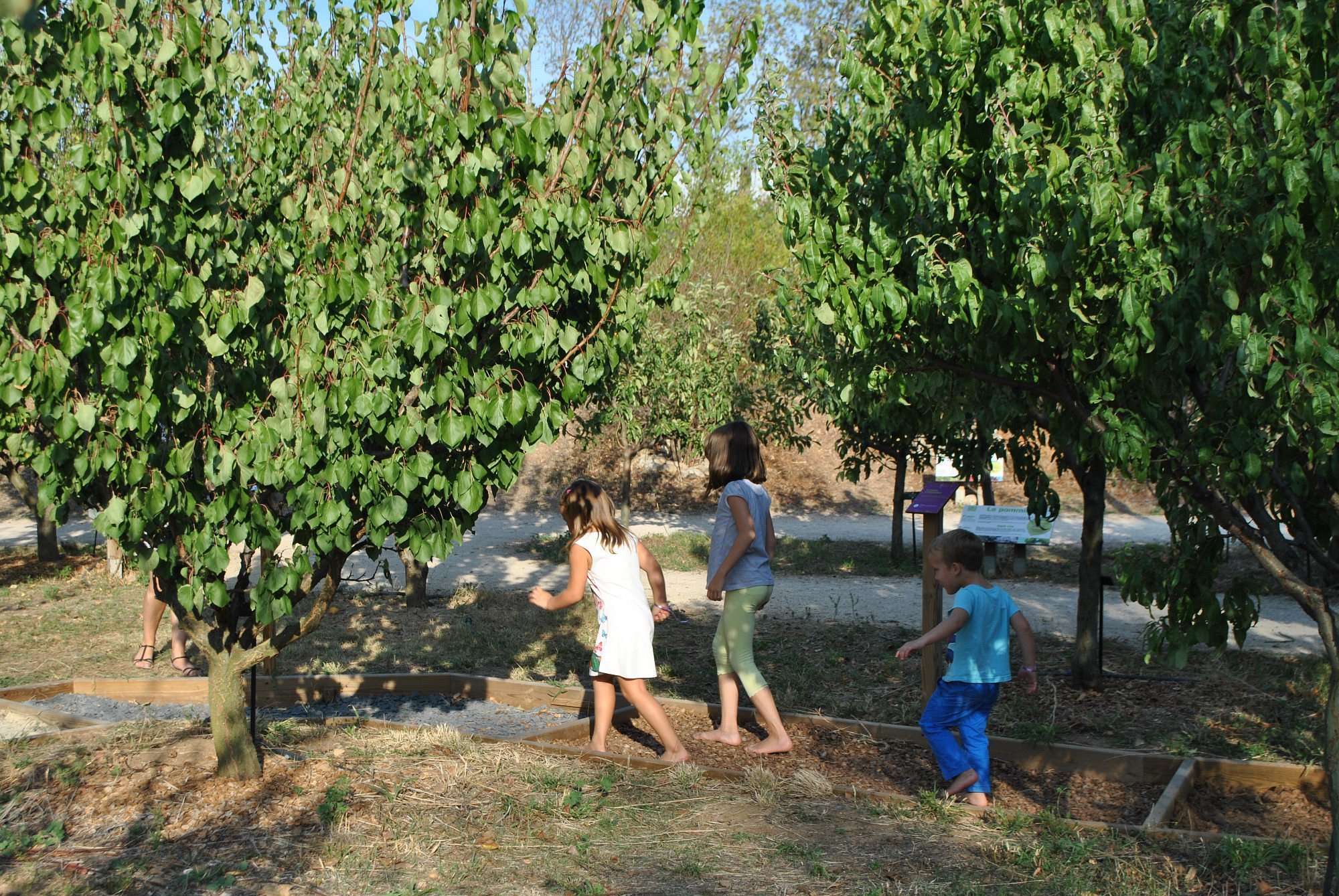 VANDERSTOCK 2025 SemerCulture IMG4