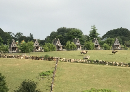 ZooAttractions MT 2 compressed