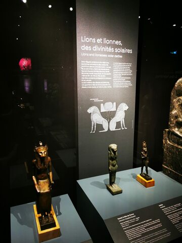 bouly 2022 felins img2