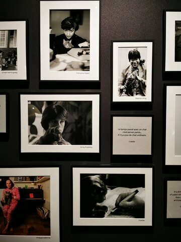 bouly 2022 felins img5